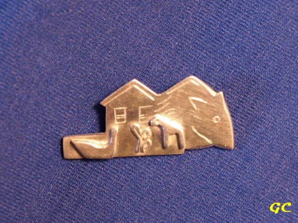 Mouse Spirit Pin