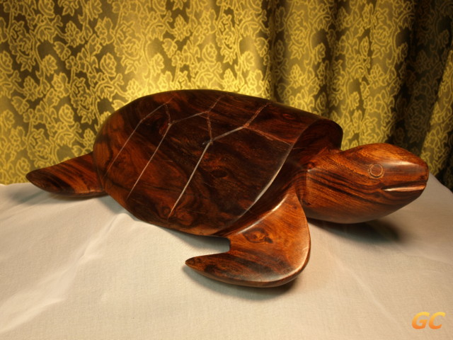 turtle