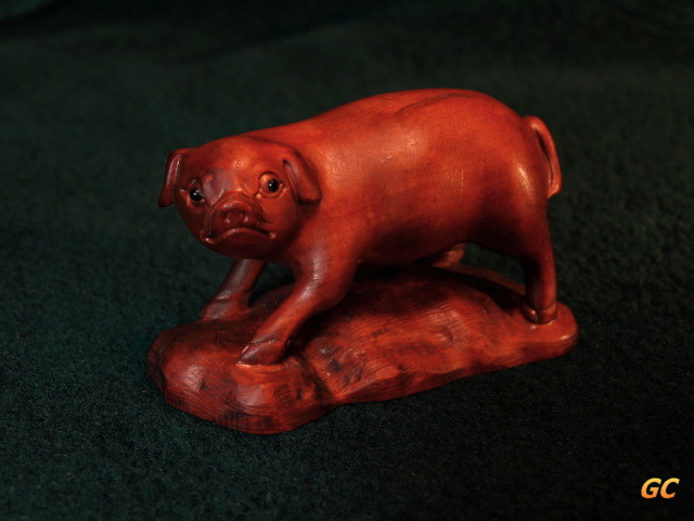 pig, left side
