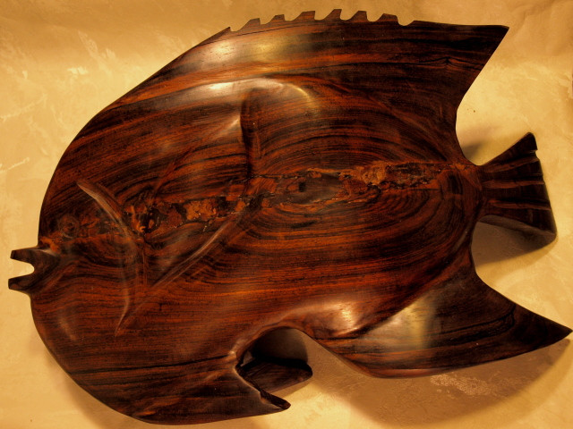 tropical fish, back