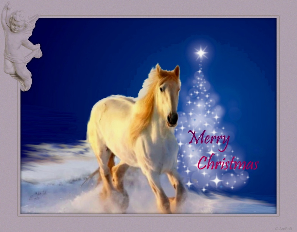 Xmas-horse