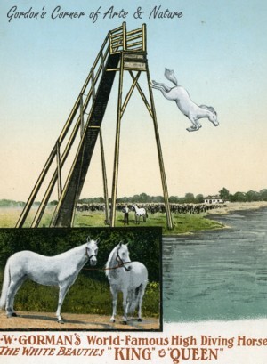 Gorman's Diving Horse
