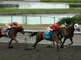 qp2011race