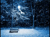 winterseason